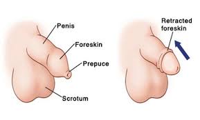 Foreskin care in children